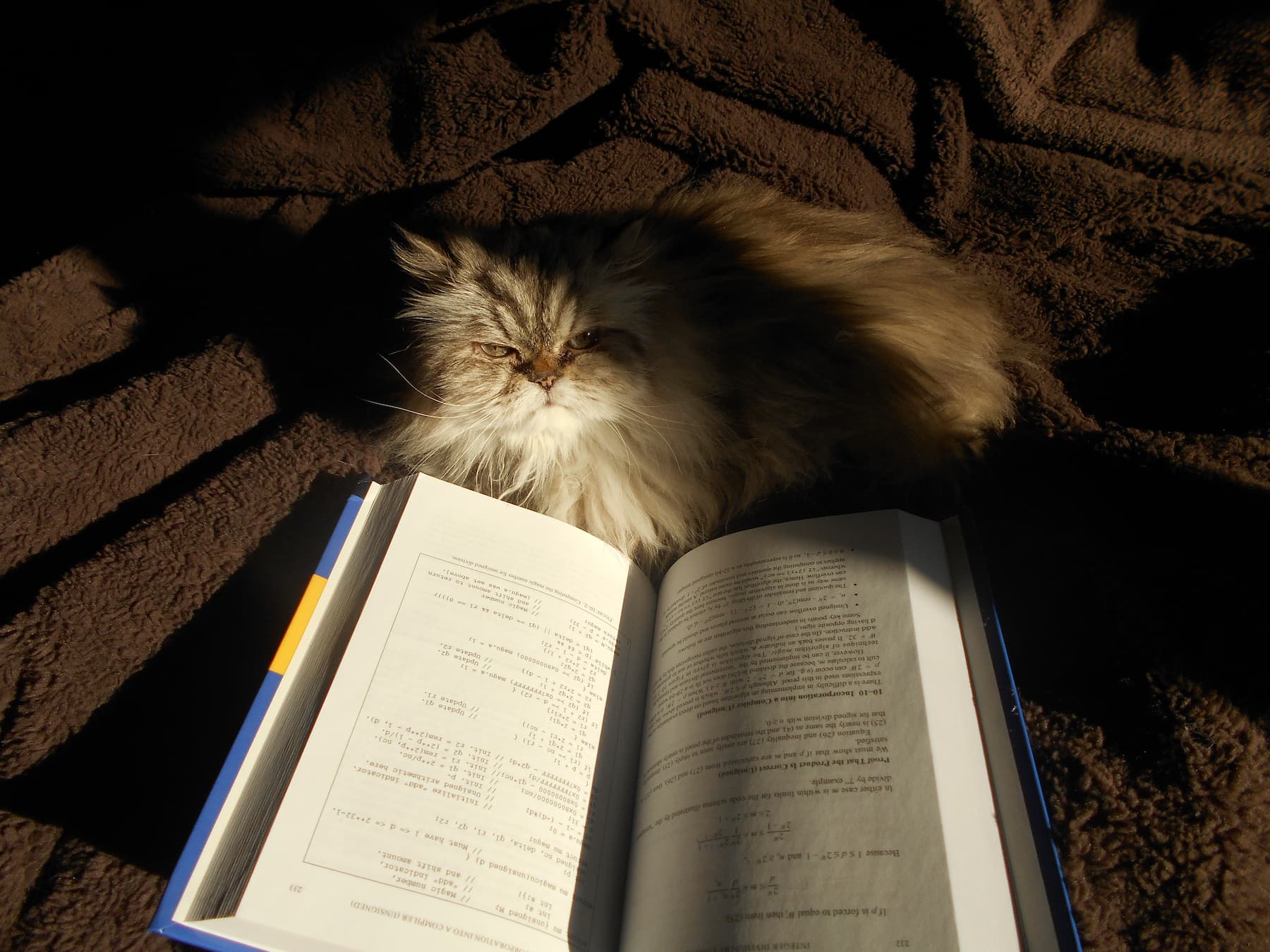 Slushy reading Hacker’s Delight.
